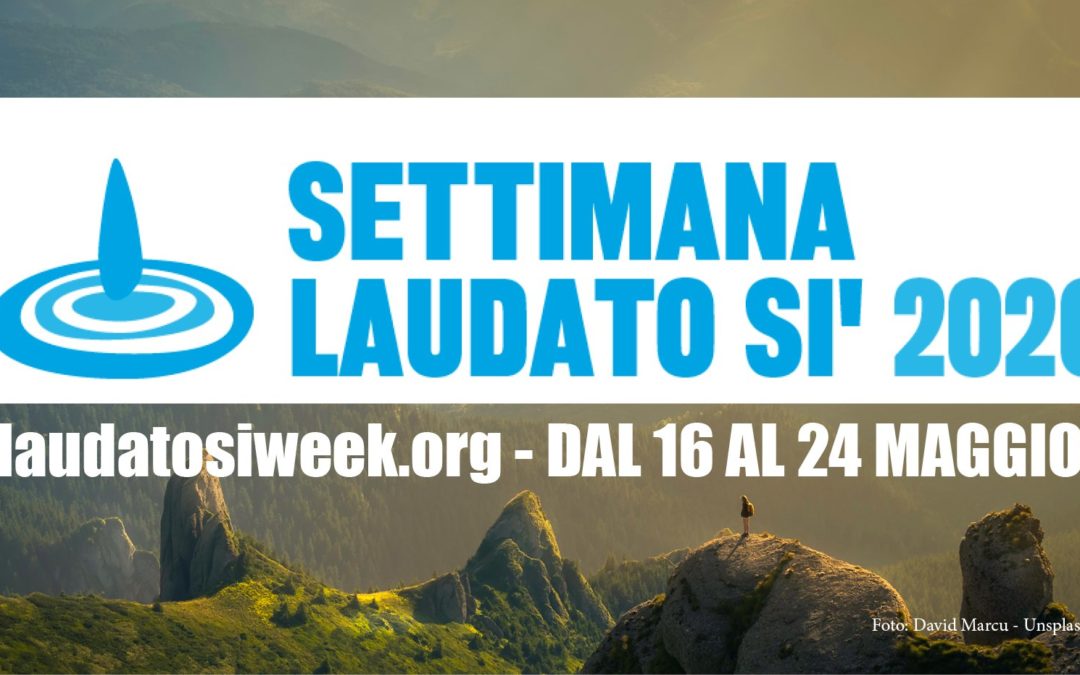 Laudato si’. 5 anni da non dimenticare (e da mettere in pratica)