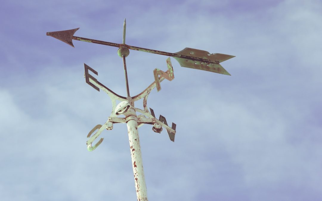 Il vento caldo dell’estate